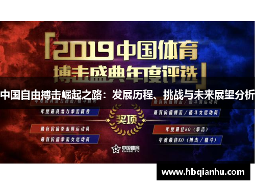 中国自由搏击崛起之路：发展历程、挑战与未来展望分析